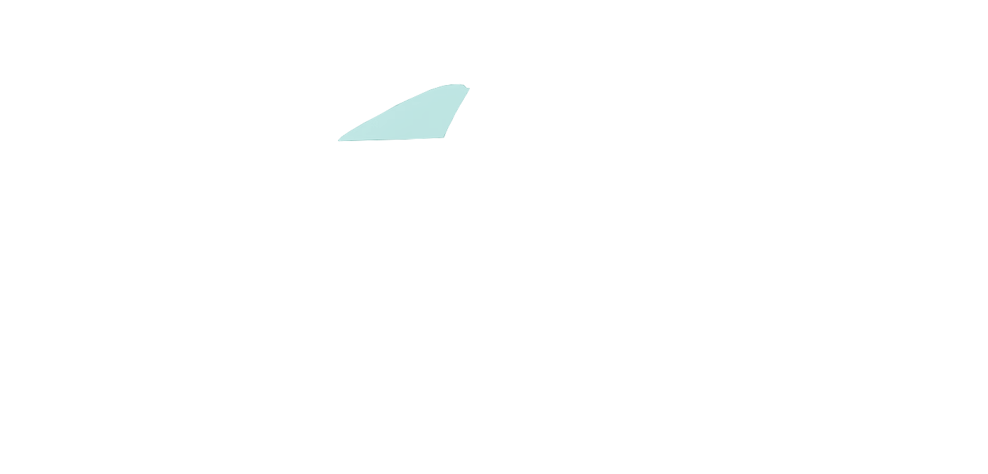 CTC WT Layer 1